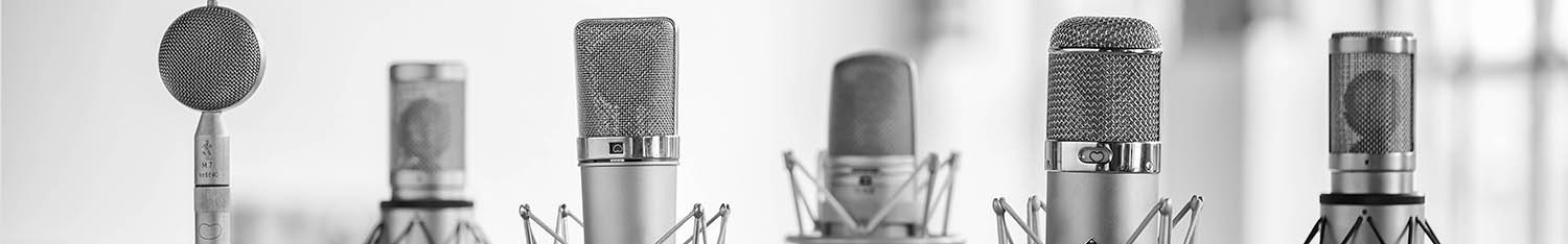 Texter Sprecher Münsterland Borken